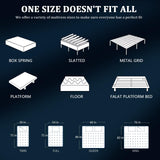 12 Inch Twin Size Mattress in a Box, Medium Firm Hybrid with Lumbar Foam and Zoned Pocket Springs for Pressure Relief and Edge Support Generic