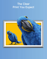 GPC Image Compatible Ink Cartridge Replacement for HP 564XL 564 XL Compatible with DeskJet 3520 3522 Officejet 4620 Photosmart 5520 6510 6520 7520 7525 Printer (Black Cyan Magenta Yellow, 10 Pack) GPC Image