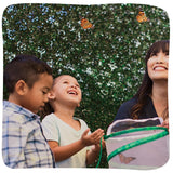 Insect Lore Raise and Release Butterfly Garden Kit – Caterpillar Habitat with redeemable Voucher – STEM-accredited Live Butterfly Growing Kit for Kids, Classrooms, and Homeschool Learning Insect Lore