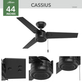 HUNTER 50260 Cassius Outdoor Ceiling Fan with Pull Chain, 44", Matte Black Finish Hunter