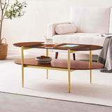 LumFurn Oval Glass Coffee Table, Mid-Century Modern Design, L41 x W21 x H17 inch, for Living Room, 2-Tier Structure, Amber Glass Top and Walnut Finish Wood Shelf, Conical Legs with Gold Finish Frame LumFurn