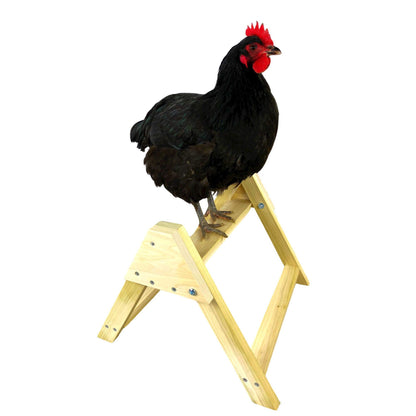 Chicken Roosting Perch Bird Stand Made in The USA! Roost Toys and Accessories for Coop Heavy Duty Solid Handcrafted Wood Construction for Birds Hens Chook Pollos Gallinas Chicks