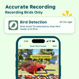 TT Nature Bird Feeder with Camera Solar Powered, Upgraded 1.5L Smart Bird Feeder Camera for Bird Watching, Auto Capture & Instant Real-time Notifications, Ideal Gift for Bird Lovers TT Nature
