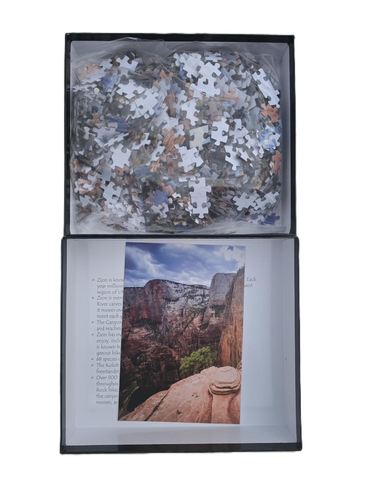 Wonderscapes - Zion National Park - Angels Landing Jigsaw Puzzle, 1000 Pieces, 27.55 x 19.68 in WONDERSCAPES