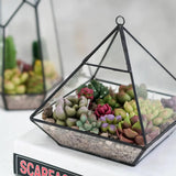 MGLIFEUL 10Pcs Succulent Cactus Plant Flower Silicone Resin Candle Soap Mold for Scented Candles Resin Soap Making Molds 3D Silicone Shapes Moldes De Silicona para Velas Artesanales De Silicona MGLIFEUL