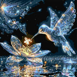 SHICERNHJ DIY Hummingbird Paint by Numbers Kit for Adults Beginner,Birds Flowers Paint by Number Kits for Adults, Acrylic Paint by Number On Canvas for Home Wall Decor 16 X 16 Inch SHICERNHJ