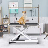SoarFlash 49.6” Electric Lift Pet Dog Grooming Table,Heavy Duty Electric Grooming Table for Dogs&Cats,Heavy Duty Height Adjustable with Overhead Arm, Clamps, Two Grooming Noose SoarFlash