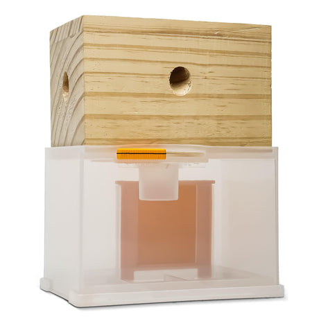 Bee Warehouse - Carpenter Bee Trap - Wood Boring Bee Trap - Unique Catch & Release Outdoor Carpenter Bee Trap - Includes Hanging Hardware & 5 Bee Dams Bee Warehouse