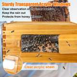 BeeCastle 10 Frame Deep Bee Hive Box, Langstroth Beehive Boxes Dipped in 100% Natural Beeswax with Window, Beehive Frames and Beeswaxed Foundations (Unassembled) BeeCastle