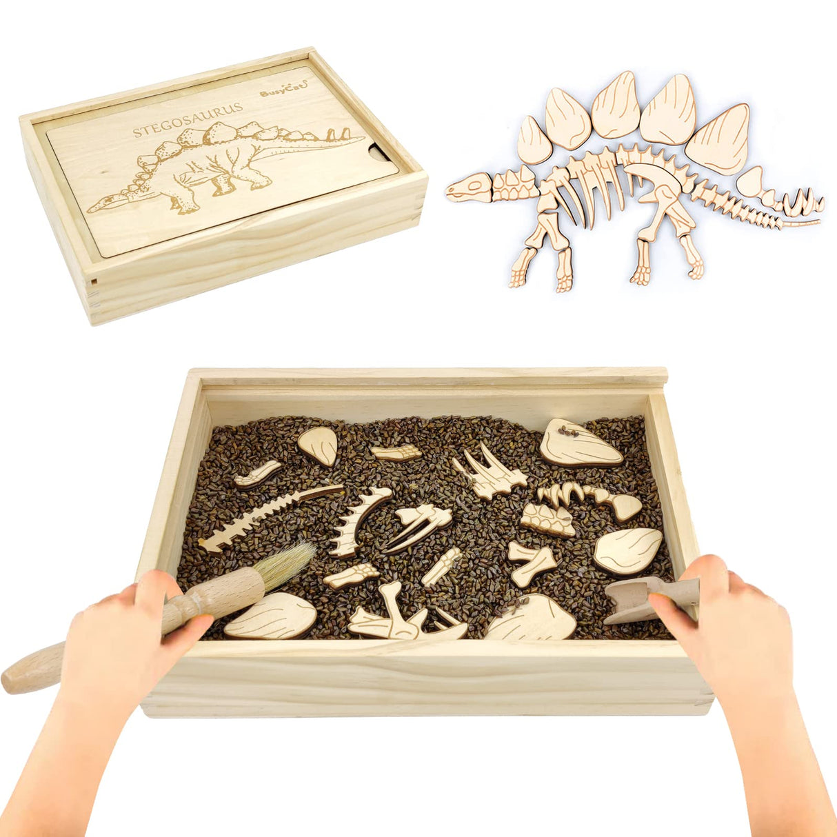 Dinosaur Excavation Archaeology Dig Kit for Kids, Fossil Explore Sensory Bin Toys, Dino Skeletons Bones Puzzle Game, Archaeology Science STEM Toys for Boys and Girls (Stegosaurus) Xylolin