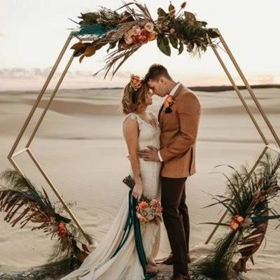 8.2FT Wedding Arch,Hexagon Backdrop Stand for for Ceremony,Iron Arch Wedding Arbor, Backdrop Stand Metal Arch Stand for Party,Wedding Backdrop Stand for Wedding Birthday Party
