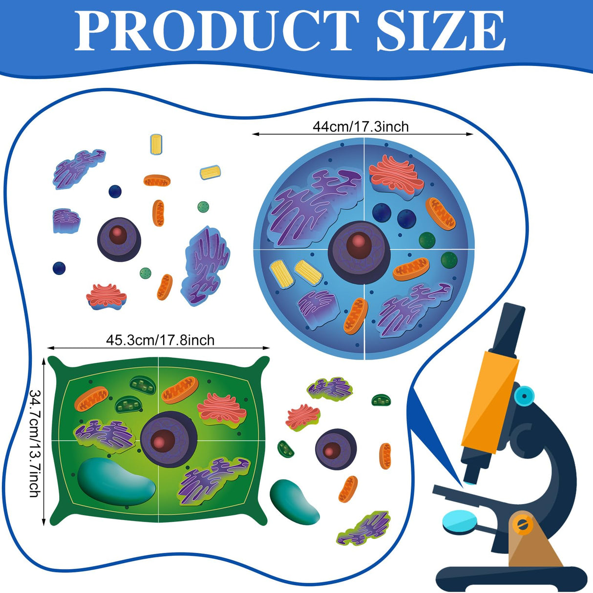 VercanMonth 2 Set Magnetic Animal and Plant Cell Anatomy Model Clearly Labeled Animal Cell Model Educational Science Kits for Biology Anatomy and Science Projects Classroom Learning Teaching Aid VercanMonth