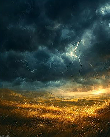 XTXGERL Summer Thunderstorm Paint by Numbers for Adults, Nature Clouds Paint by Numbers Kits for Beginner, Painting by Number on Canvas for Holiday Home Wall Decor 16" W x 20" L XTXGERL