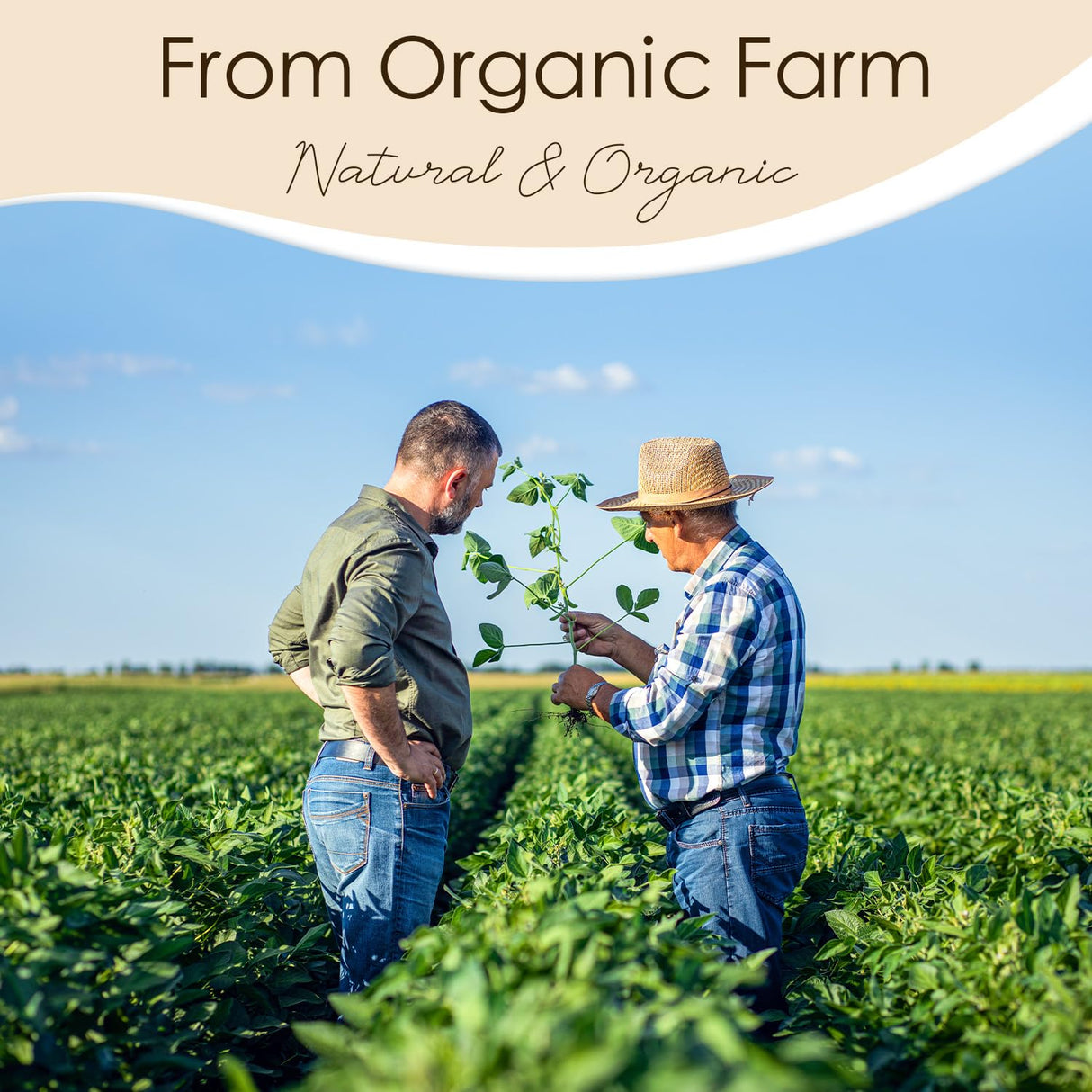 CHILLFLAME Soy Wax Flakes, Natural Candle Wax, Organic Soy Wax for Candle Making from Farm, No Harmless, Additives, and Pure (5 lb) CHILLFLAME