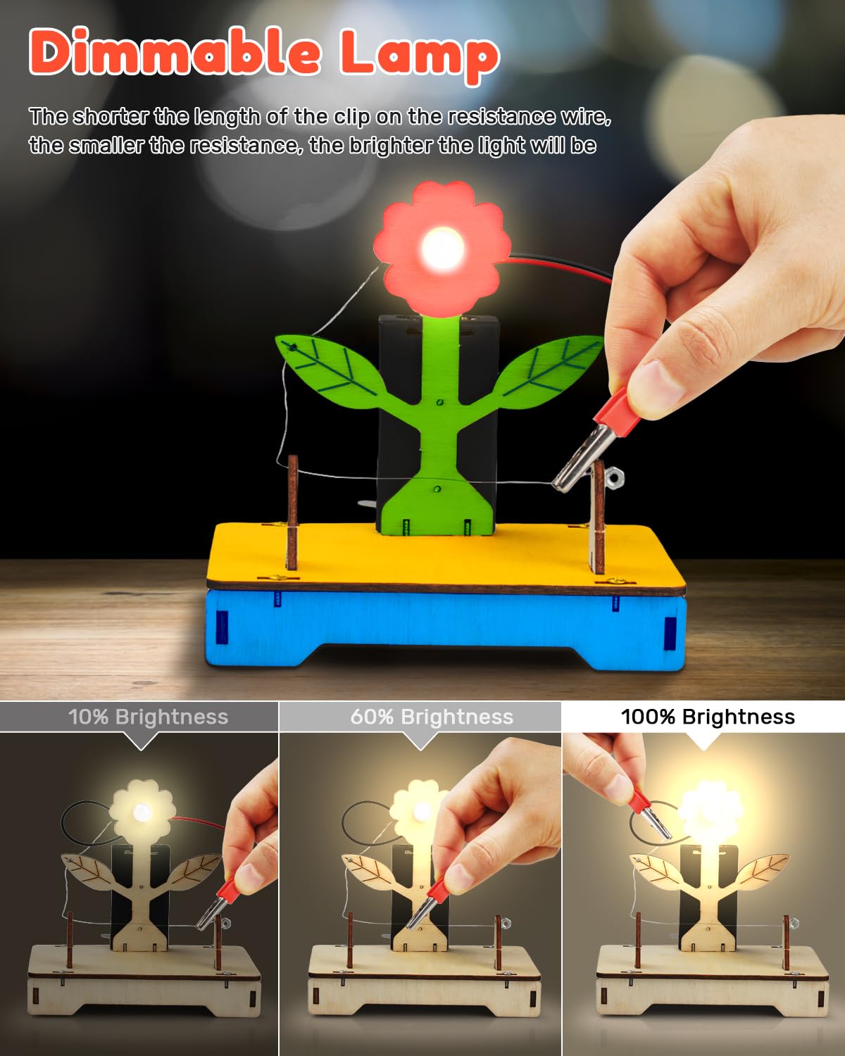 Poraxy 5 in 1 STEM Kits for Kids Age 8-10, Wooden 3D Puzzles, Arts Crafts Science Kits for 8-12, Educational Projects Building Toys, Birthday Gifts for Boys and Girls 7 8 9 10 11 12 13 14 Years Old Poraxy
