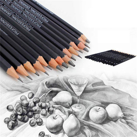 Heshengping Drawing Sketch Pencil Set 14pcs Sketching Pencils 12B 10B 8B 7B 6B 5B 4B 3B 2B B HB 2H 4H 6H Graphite Pencils for Kid Adults Artists Student Beginners Professional Heshengping