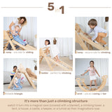 Indoor Playgroud Jungle Gym for Toddlers Slide,Climbing Toys for Toddlers Playset-Indoor Play Gym Swedish Ladder,Climbing Play Structure Set for Kids-Indoor Playground - Anthill-4 WEDANTA