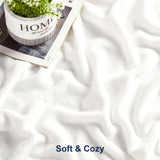 DREAMNINE Super Soft Fuzzy Fleece Throw Blanket for Couch Sofa 50" x 60", Decorative Solid Lightweight Velvet Blanket for Chair, Cozy Accent Shaggy Micro Plush Flannel Blanket for Bedroom Dorm, White DREAMNINE