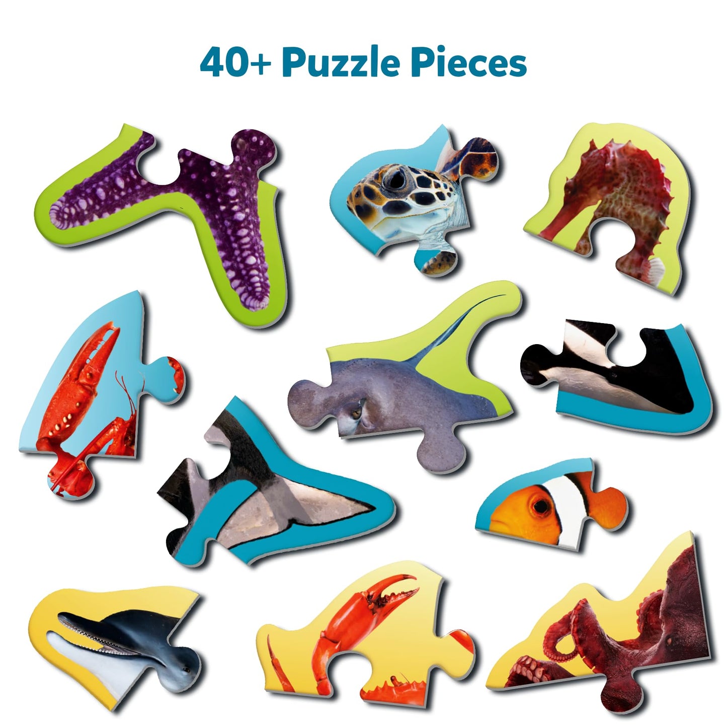 Skillmatics Step by Step Puzzle - 41 Piece Underwater Animal Jigsaw & Toddler Puzzles, Educational Montessori Toy for Boys & Girls, Gifts for Kids Ages 3, 4, 5 and Up