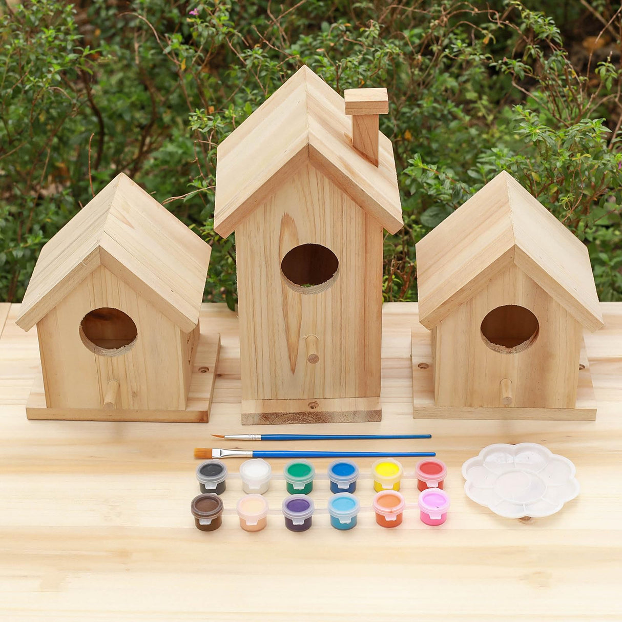 Wooden Bird House Kit,Outdoor Hanging DIY Birdhouse Kit for Kids Woodcraft,Bird Houses for Outside. RHSLRL