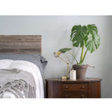 BarnwoodUSA Real Reclaimed Wood Wall Planks for Nail Up Application | Rustic Farmhouse Board Panels DIY Solution Shiplap-Style Accent Natural Weathered Gray 10 Square Feet BarnwoodUSA LLC