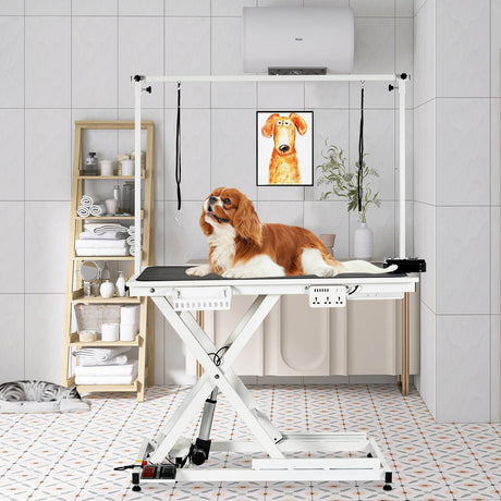 50'' Electric Dog Grooming Table, Heavy Duty, Height Adjustable Pet Grooming Table with Socket w/Leveling Wheels, Grooming Arm, Anti Slip Tabletop & Tool Organizer, for All Pets White Towallmark