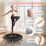 BCAN 36 Mini Trampoline Rebounder Trampoline for Adults Max Load 170lbs Small Trampoline Exercise Trampoline Fitness Trampoline Indoor/Garden Workout BCAN