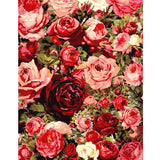 TOCARE Flowers Paint by Numbers Kit for Adults Red Rose Adult Paint by Number Canvas,Adult's Paint-by-Number Kits Love Rose 20x16Inch TOCARE