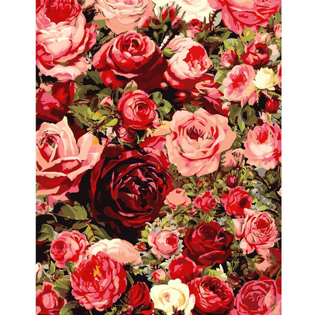 TOCARE Flowers Paint by Numbers Kit for Adults Red Rose Adult Paint by Number Canvas,Adult's Paint-by-Number Kits Love Rose 20x16Inch TOCARE