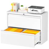 INTERGREAT 2 Drawer Lateral File Cabinet with Lock, 28" W White Lateral Filing Cabinet, Locking Metal Steel Wide File Cabinets for Home Office INTERGREAT