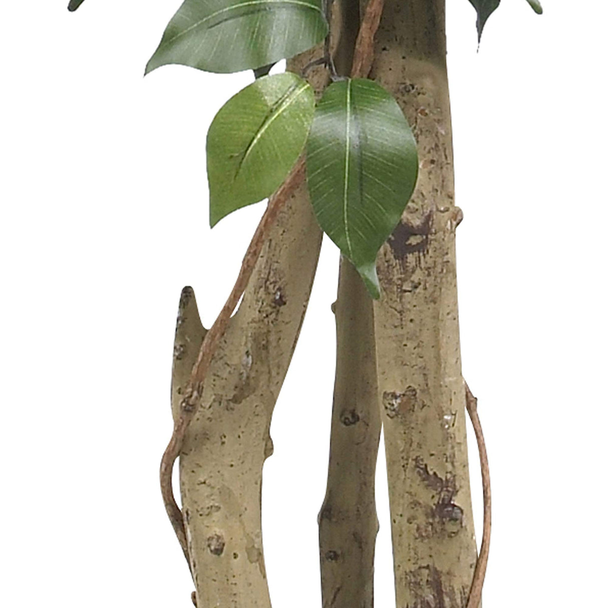 Nearly Natural 5299 Ficus Silk Tree, 4-Feet(48 in), Green Nearly Natural
