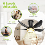 DAMINY 30 Inch Black and Gold 5 Blade Ceiling Fan with Light, Modern Ceiling Fan with Remote,Large Airflow,Flush Mount,6CCT,Dimmable,Noiseless,Bedroom Ceiling Fan DAMINY