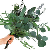 12 Pcs Mixed Real Dried Eucalyptus Leaves Stems - Preserved Eucalyptus Branches, Silver Dollar Eucalyptus, Seeded Eucalyptus Bouquets for Vase Floral Arrangements Wedding Greenery Decor Glicrili