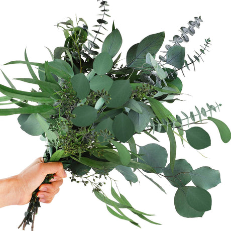 12 Pcs Mixed Real Dried Eucalyptus Leaves Stems - Preserved Eucalyptus Branches, Silver Dollar Eucalyptus, Seeded Eucalyptus Bouquets for Vase Floral Arrangements Wedding Greenery Decor Glicrili