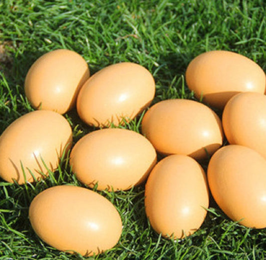 YunKo 6Pcs Easter Eggs Wooden Brown Fake Nest Eggs for Craft Decorate Get hens to Lay Eggs Chicken Coop Accessories