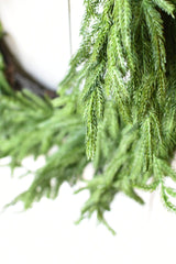 Afloral Real Touch Norfolk Pine Wreath - 24" Afloral