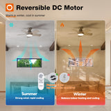 addlon Ceiling Fans with Lights, 32 inch Low Profile Ceiling Fan with Light and Remote Control, Flush Mount, Reversible, 3CCT, Dimmable, Quiet, Nickel Small Ceiling Fan for Bedroom Indoor/Outdoor Use addlon