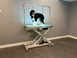 Cove Products LED Lit Master Groomer Electric Lift Grooming Table (Basic Package) Cove Products