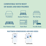 EGOHOME Twin Mattress for Kids, 6 Inch Green Tea Gel Cooling Memory Foam Bunk Bed Mattress in a Box, Made in USA CertiPUR-US Certified, Medium Firm Trundle Mattress, White MLILY