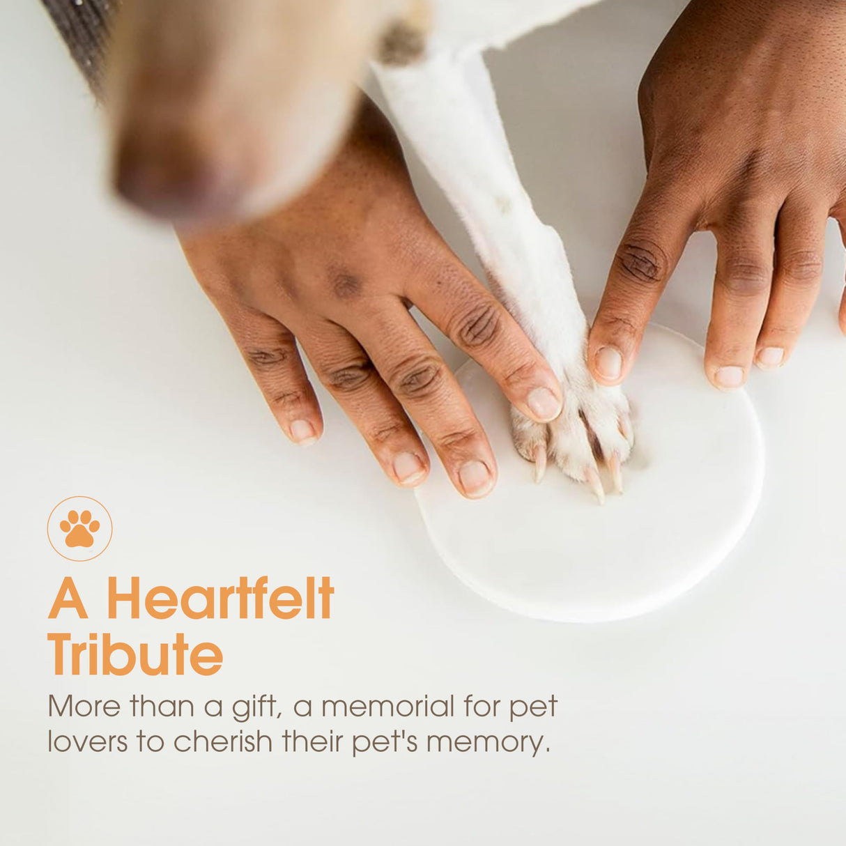 Pearhead Pet Pawprints Wall Picture Frame and Clay Impression Kit - DIY Clay Paw Print, Memorial Keepsake Frame for Cat and Dog, Ideal Home Decor Gift for Pet Owners, 4x6 Photo, Distressed White Pearhead