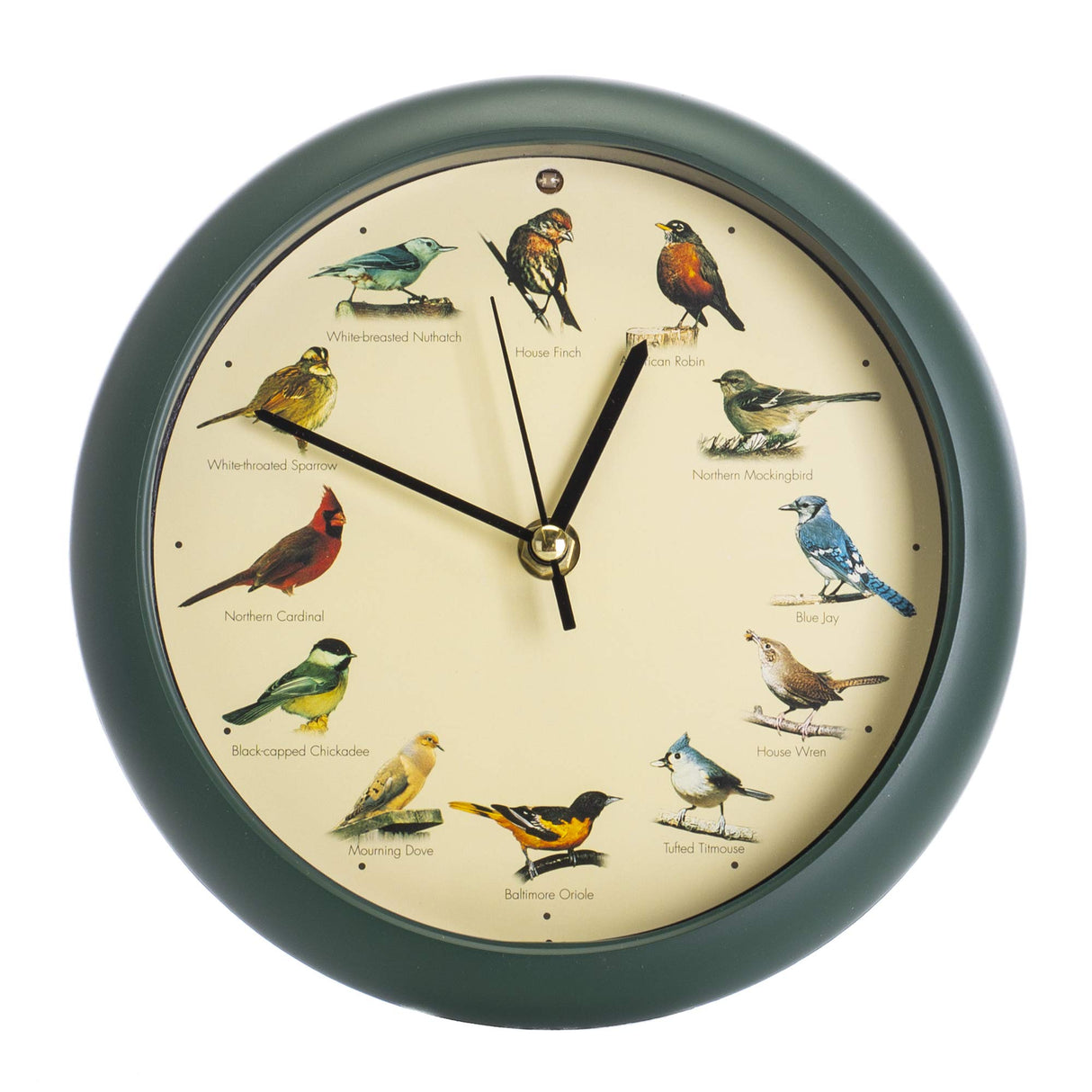 Mark Feldstein & Associates Original Singing Bird Wall/Desk Clock, 8 Inch Mark Feldstein & Associates