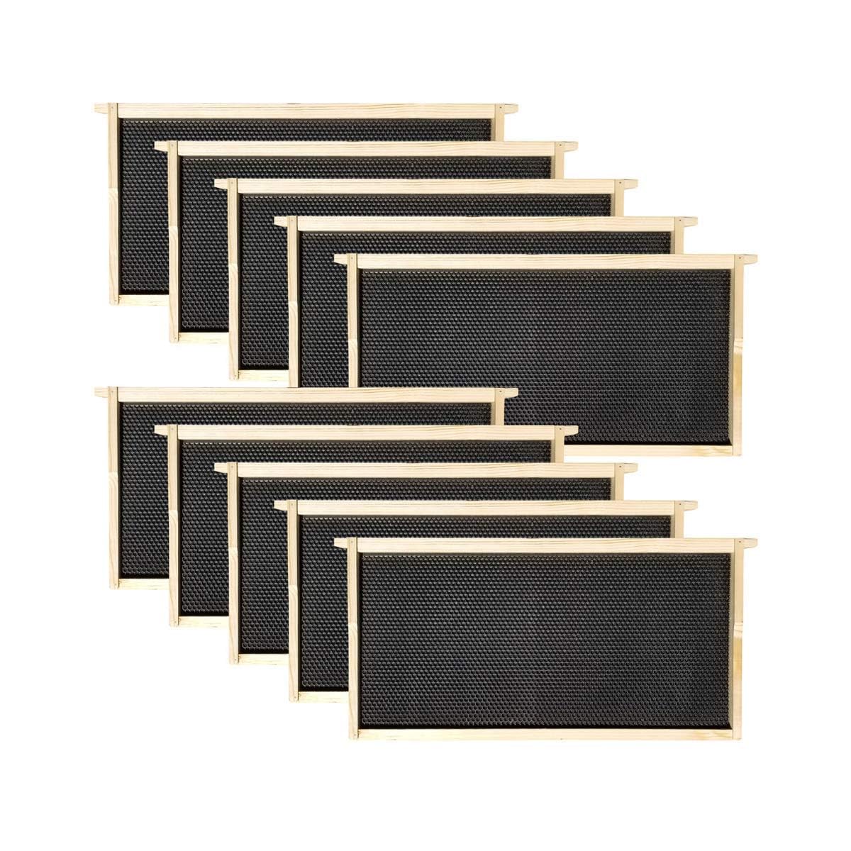 Hoover Hives 10 Frame Langstroth Deep Brood Box Dipped in 100% Beeswax Includes Wooden Frames & Waxed Foundations (Unassembled) Hoover Hives