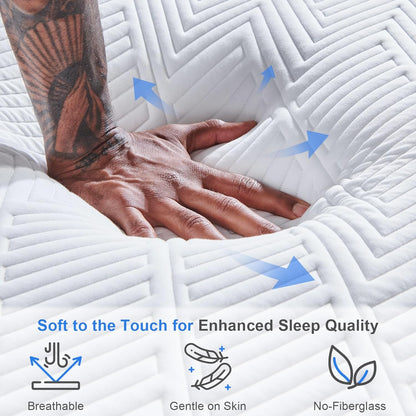 Twolike Firm Queen Size Mattress,12-Inch Queen Foam Mattress in Box,Edges Support for Sleep Supportive,60" X 80" X 12"