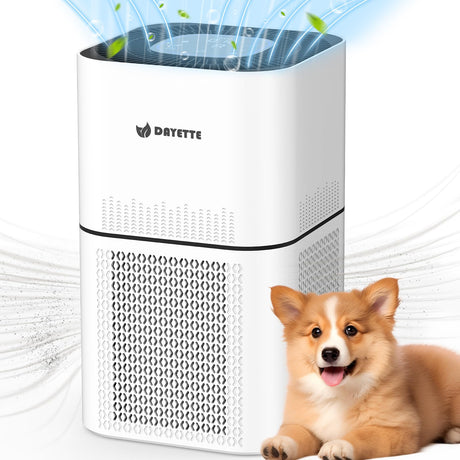 HEPA 14 Air Purifiers for Home Large Room Up to 2200ft², DAYETTE Air Purifiers for Bedroom with Air Quality Sensor, Remove 99.97% of Dust, Odor, Pets Dander, Smoke DAYETTE