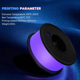 FAHKNS 3D Printer Filament PLA Glow in The Dark 1.75mm 3-D Printing Materials 3 Colors Bundle Print Filimate 1.75 mm Green Blue Purple Filiment Accuracy ±0.05mm Spool Vacuum Pack 250G Rolls Fillament FAHKNS