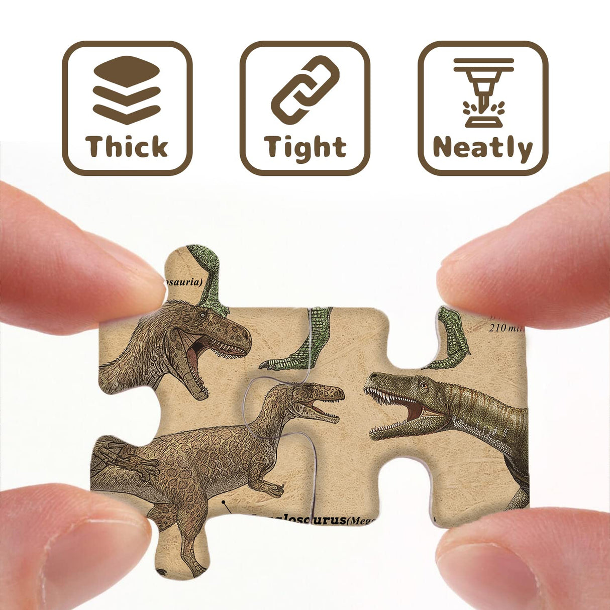 Dinosaur Puzzle 1000 Pieces for Adult, Vintage Dinosaur Jigsaw Puzzles Includes Major Dinosaur Groups, Animal Puzzle as Dinosaur Souvenir BBOLDIN