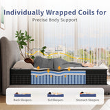 Twin XL Mattress, 12 Inch Mattress Twin Xl in a Box, Individually Wrapped Pocket Coils for Isolate Motion,Pressure Relief, CertiPUR-US Certified, Support Comfort & Firm （80"L x 39"W x 12"Th） SupremeSleep