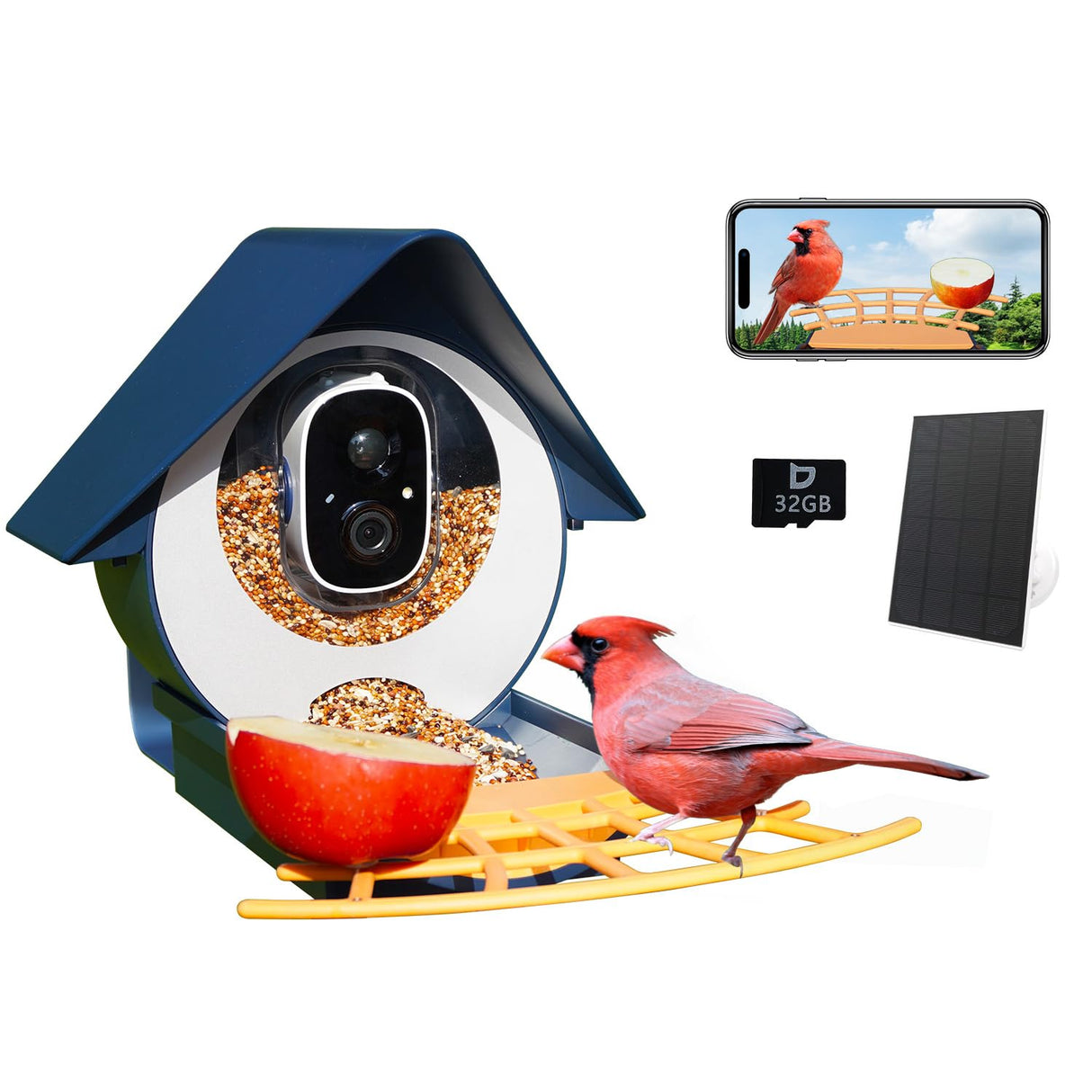 Birdkiss Smart Bird Feeder with Camera, AI Identify Bird Feeder Camera with Solar Pannel, Auto Capture Bird Full HD Videos & Instant Notification, Birdkiss