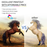Ubinki 63XL Ink Cartridge Combo Pack Replacement for HP Ink 63 63XL Black and Color to Envy 4520 4512 4510 Officejet 4650 5258 5200 3830 5255 4655 4652 5252 Deskjet 3630 3632 2132 1112 Printer | HP63 Ubinki