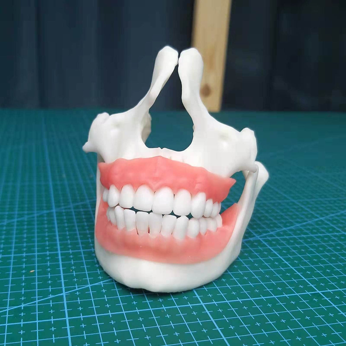 RESIONE 3D Printer Resin, F80 Elastic Resin 405nm UV-Curing Resin with High Elongation at Break High Resilience Photopolymer Resin for LCD DLP MSLA 3D Printing (Pink, 500g) RI RESIONE